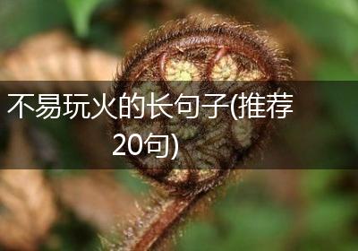 不易玩火的长句子(推荐20句)