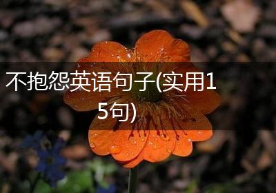 不抱怨英语句子(实用15句)