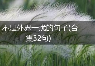 不是外界干扰的句子(合集32句)