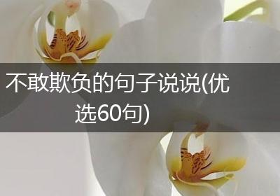 不敢欺负的句子说说(优选60句)