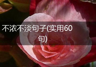 不浓不淡句子(实用60句)