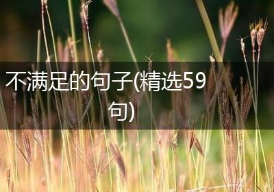 不满足的句子(精选59句)