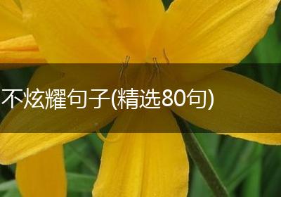 不炫耀句子(精选80句)