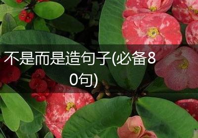 不是而是造句子(必备80句)
