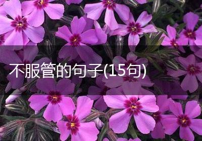 不服管的句子(15句)