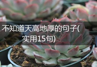 不知道天高地厚的句子(实用15句)