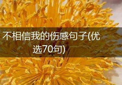 不相信我的伤感句子(优选70句)