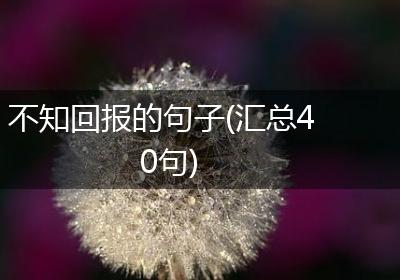 不知回报的句子(汇总40句)