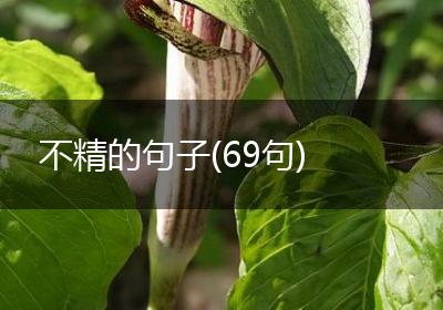 不精的句子(69句)