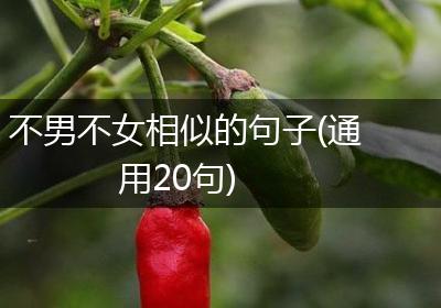 不男不女相似的句子(通用20句)