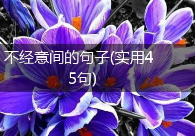 不经意间的句子(实用45句)