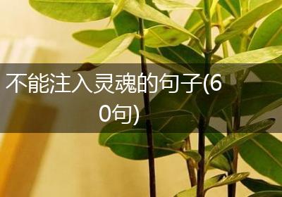 不能注入灵魂的句子(60句)