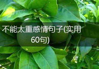 不能太重感情句子(实用60句)