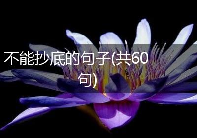 不能抄底的句子(共60句)