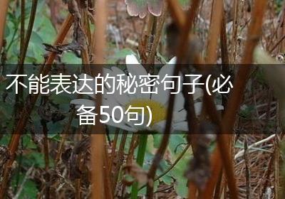 不能表达的秘密句子(必备50句)
