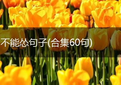不能怂句子(合集60句)