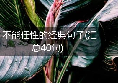 不能任性的经典句子(汇总40句)