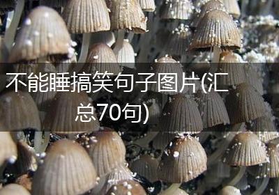 不能睡搞笑句子图片(汇总70句)
