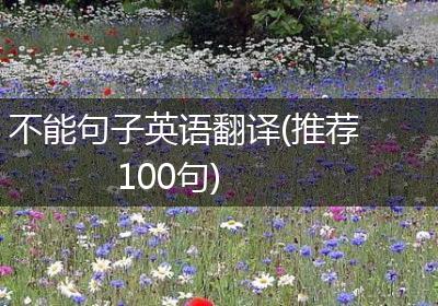 不能句子英语翻译(推荐100句)