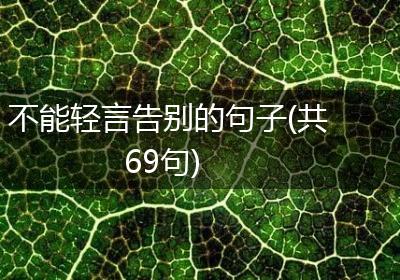 不能轻言告别的句子(共69句)