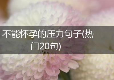 不能怀孕的压力句子(热门20句)