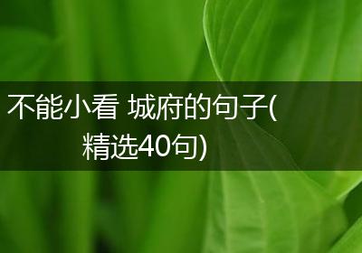 不能小看 城府的句子(精选40句)
