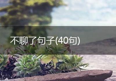 不聊了句子(40句)