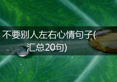 不要别人左右心情句子(汇总20句)