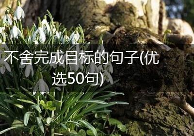 不舍完成目标的句子(优选50句)