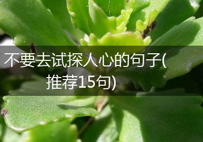 不要去试探人心的句子(推荐15句)
