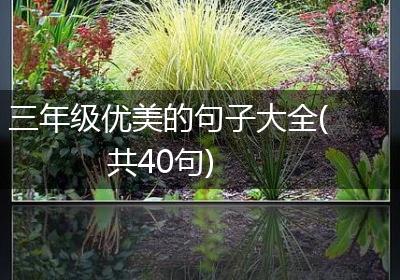 三年级优美的句子大全(共40句)
