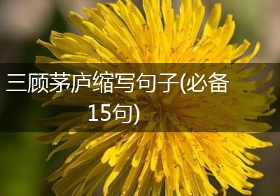 三顾茅庐缩写句子(必备15句)