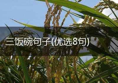 三饭碗句子(优选8句)