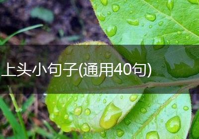 上头小句子(通用40句)