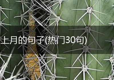 上月的句子(热门30句)