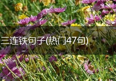 三连铁句子(热门47句)