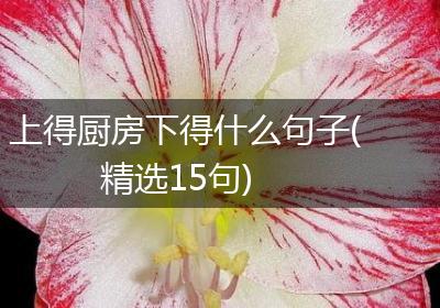 上得厨房下得什么句子(精选15句)