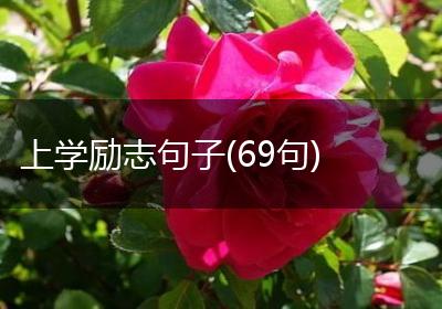 上学励志句子(69句)
