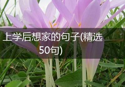 上学后想家的句子(精选50句)