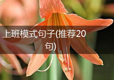 上班模式句子(推荐20句)