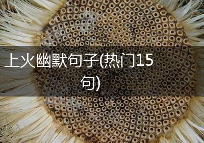 上火幽默句子(热门15句)