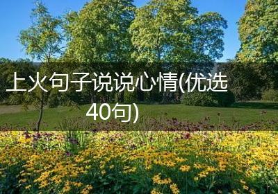 上火句子说说心情(优选40句)