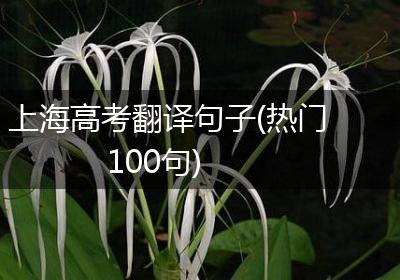 上海高考翻译句子(热门100句)