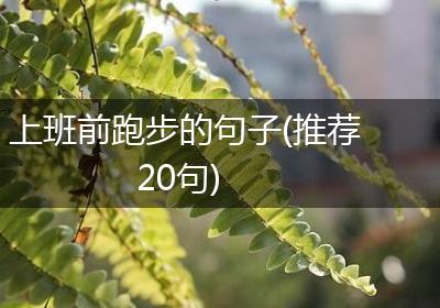 上班前跑步的句子(推荐20句)