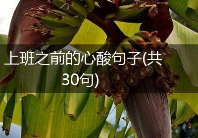 上班之前的心酸句子(共30句)
