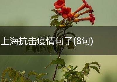 上海抗击疫情句子(8句)