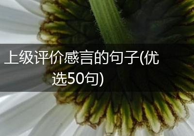 上级评价感言的句子(优选50句)