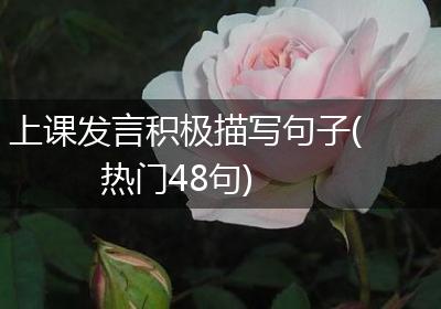上课发言积极描写句子(热门48句)