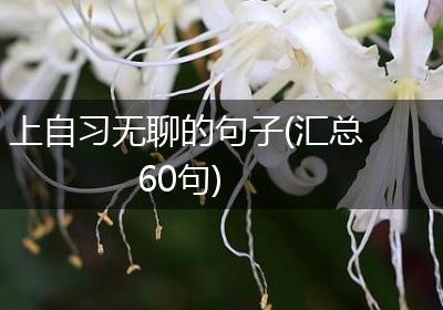 上自习无聊的句子(汇总60句)