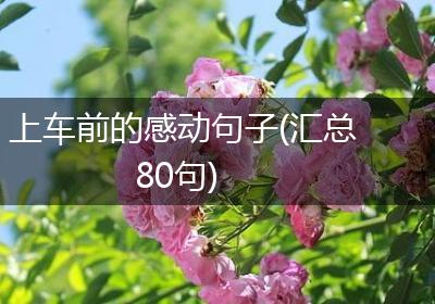 上车前的感动句子(汇总80句)